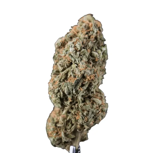 White Widow